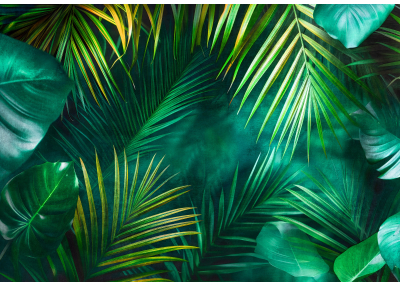 Фототапет с тропически листа в наситено зелено